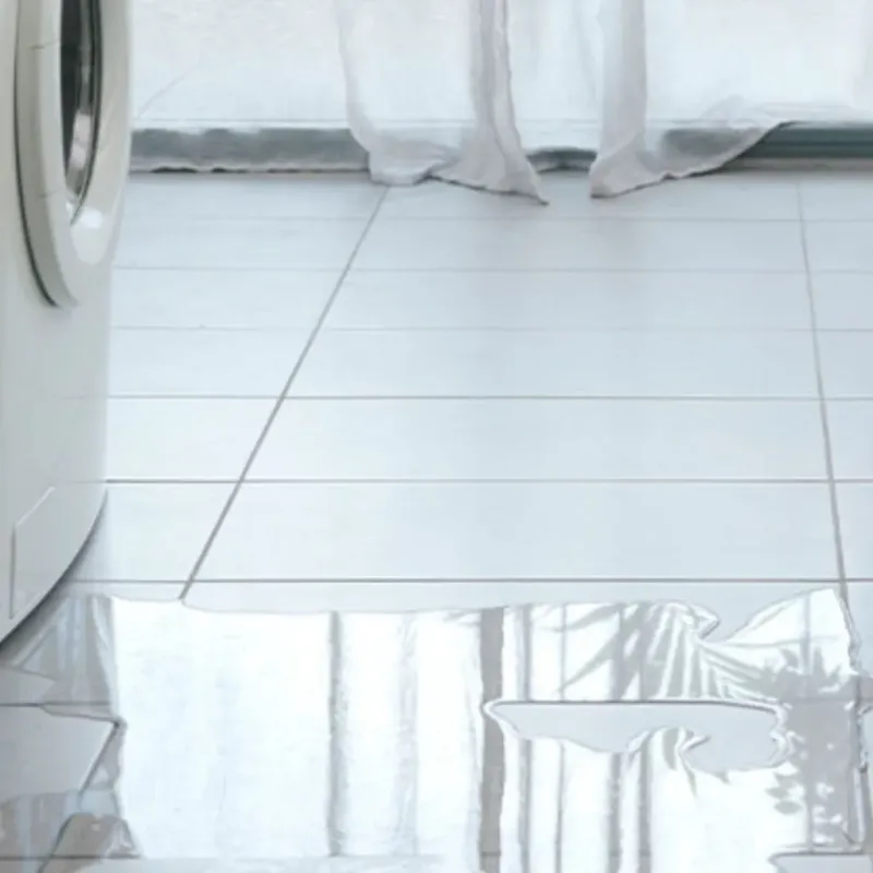 Appliance Leak Cleanup in Fernley, NV